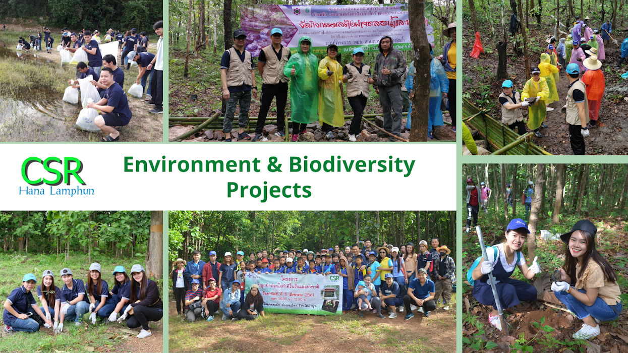 Environment & Biodiversity Projects